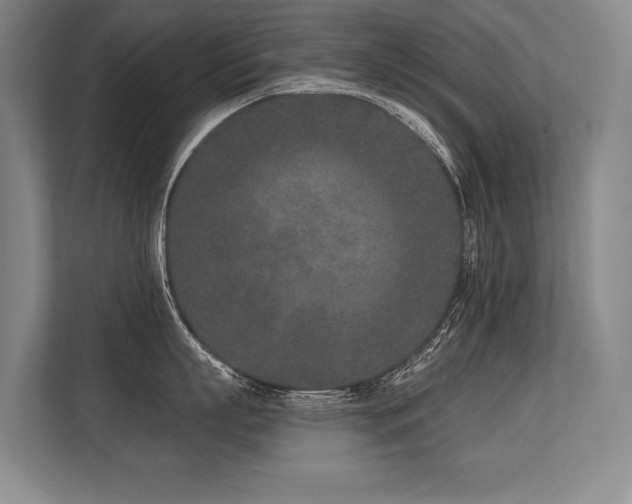 X0000113630863200909181515