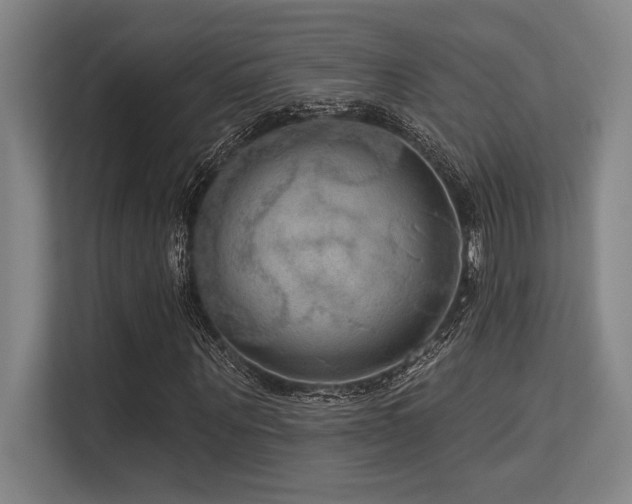 X0000113630867200909181514