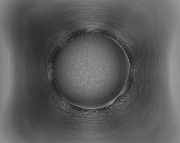 X0000113630868200909181514