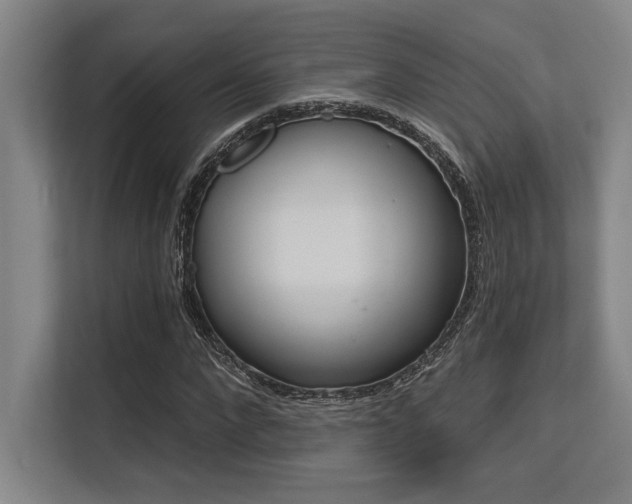 X0000113630872200909181514