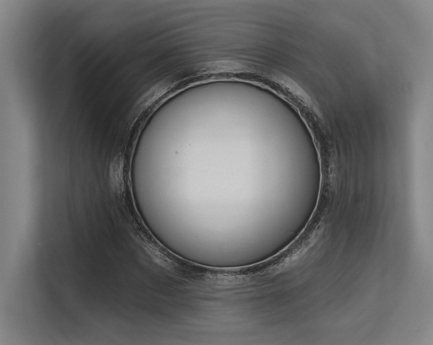 X0000113630873200909181514