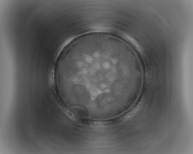 X0000113630875200909181514