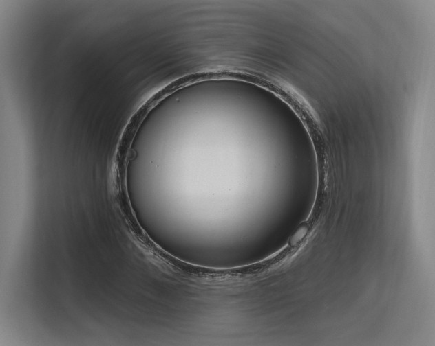 X0000113630876200909181514