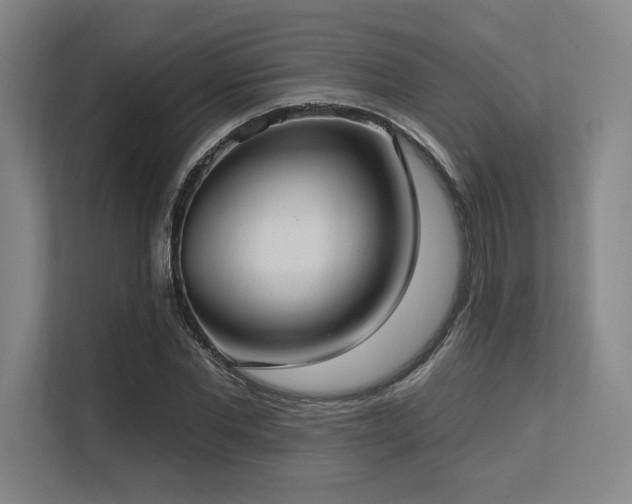 X0000113630877200909181514
