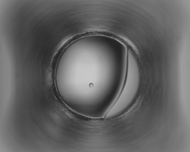 X0000113630878200909181514