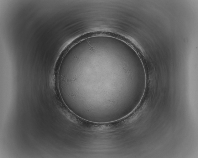 X0000113630879200909181514