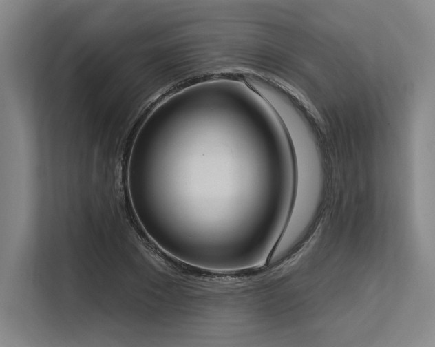 X0000113630881200909181514