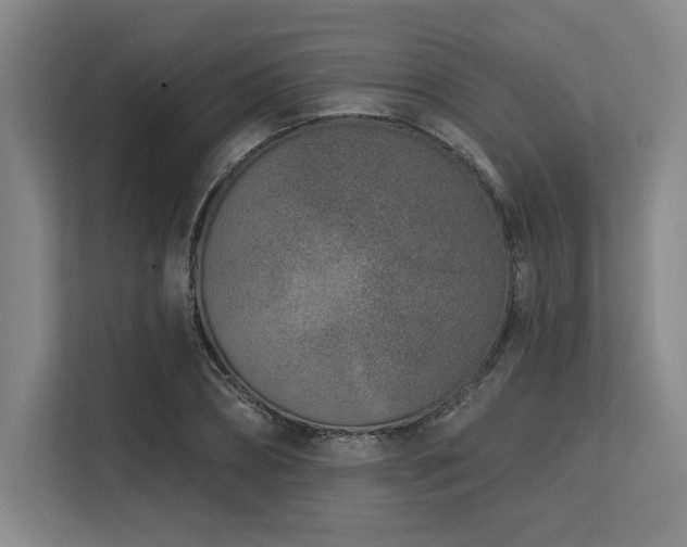 X0000113630882200909181514
