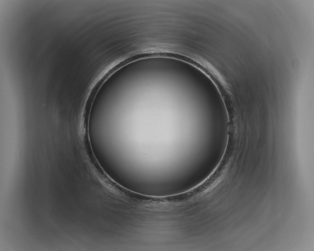 X0000113630885200909181514
