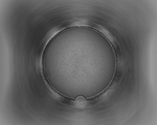 X0000113630893200909181514