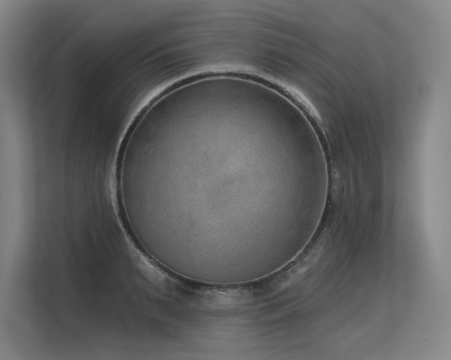 X0000113630895200909181514
