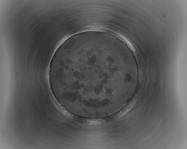 X0000113630899200909181514