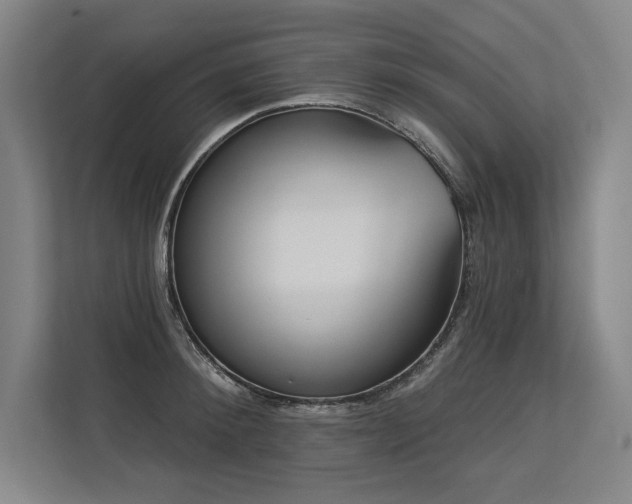 X0000113630900200909181514