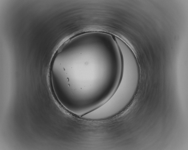 X0000113630901200909181514