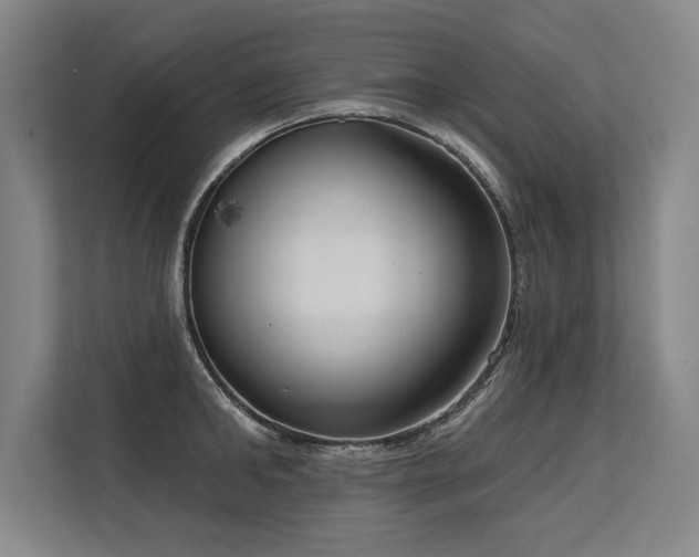 X0000113630902200909181514