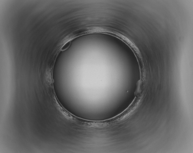 X0000113630905200909181514