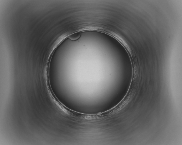X0000113630906200909181514