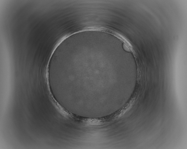 X0000113630907200909181514