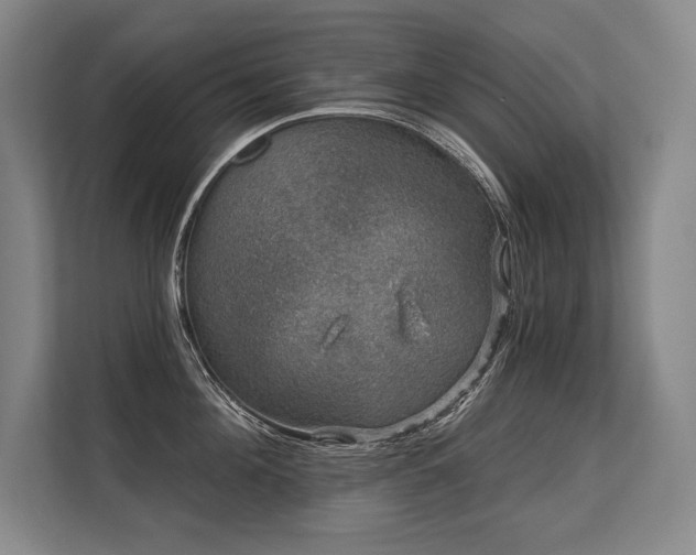 X0000113630908200909181514