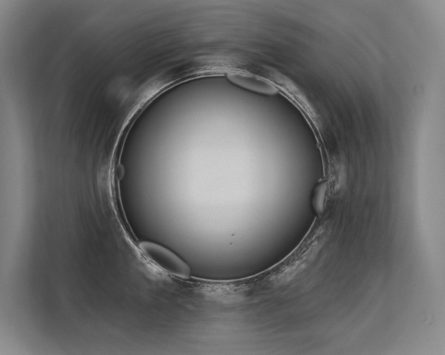 X0000113630909200909181514