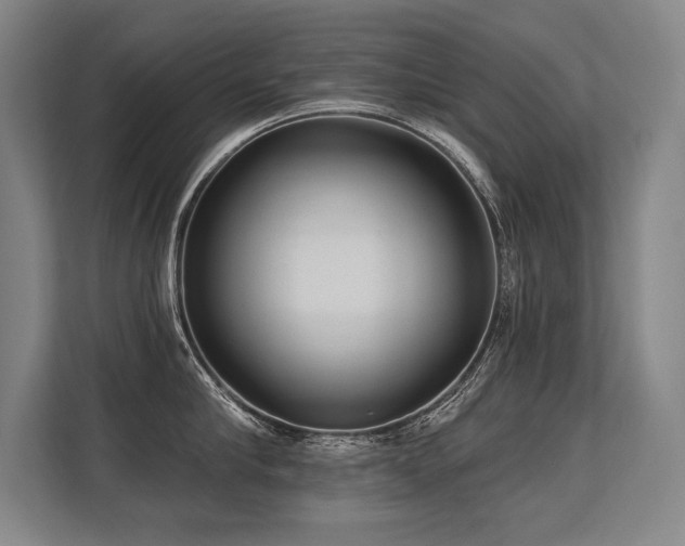 X0000113630910200909181514