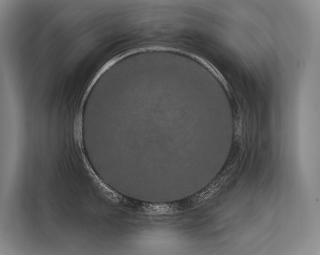 X0000113630911200909181514
