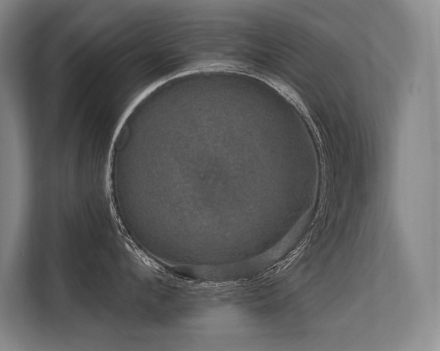 X0000113630912200909181514