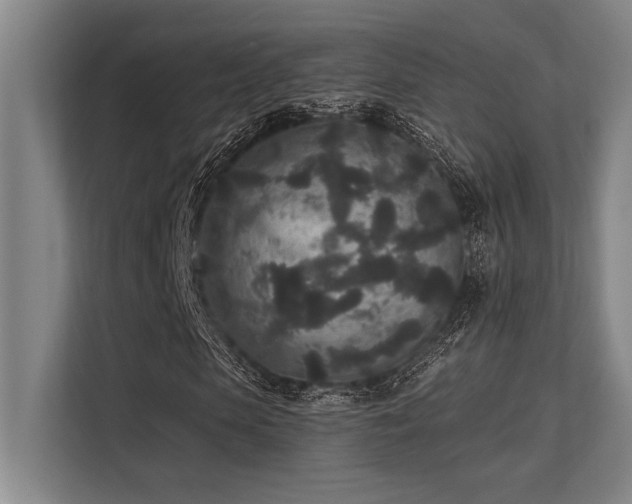 X0000113630913200909181513