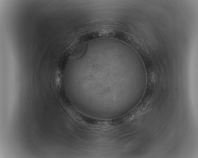 X0000113630914200909181513