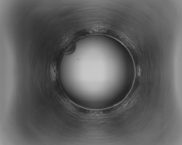 X0000113630915200909181513