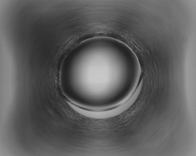 X0000113630916200909181513