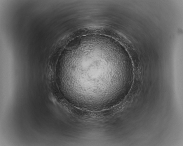 X0000113630917200909181513