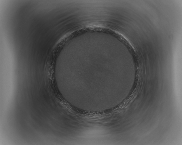 X0000113630919200909181513