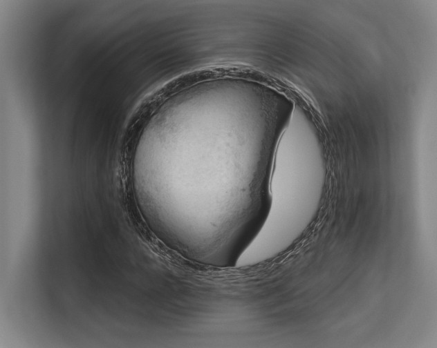 X0000113630920200909181513