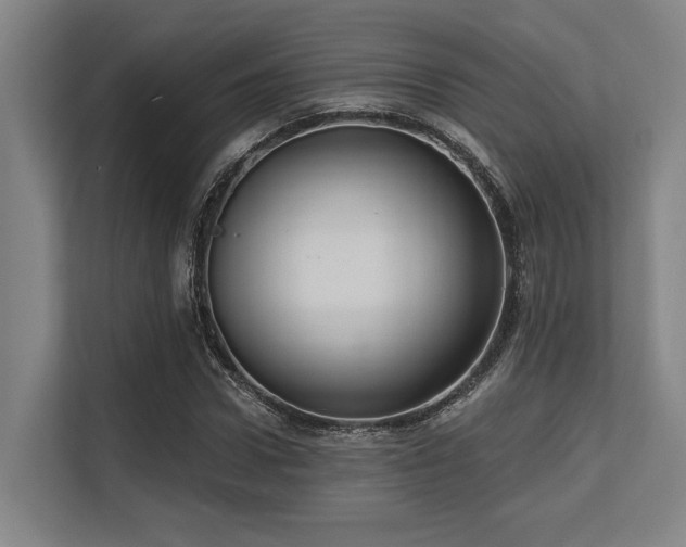 X0000113630922200909181513