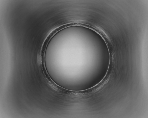 X0000113630924200909181513