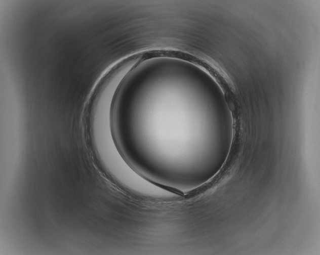 X0000113630926200909181513