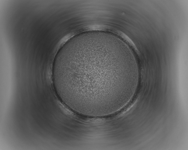 X0000113630930200909181514