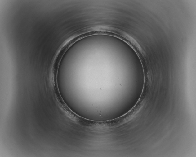 X0000113630931200909181514