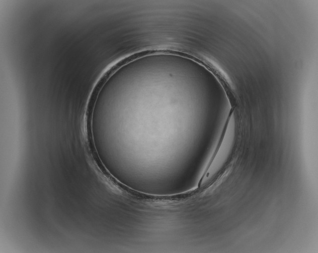 X0000113630932200909181514