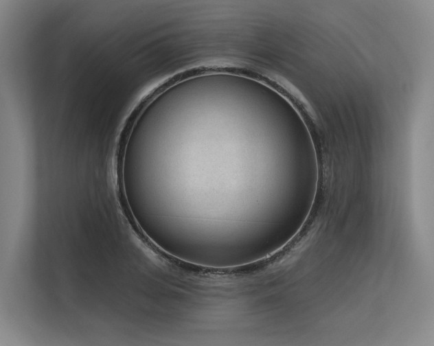 X0000113630935200909181514