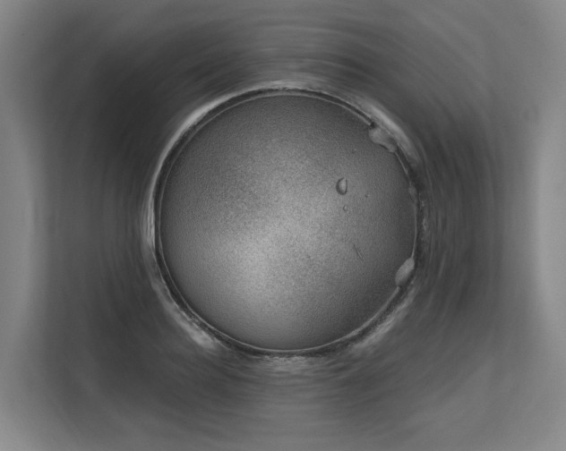 X0000113630940200909181514