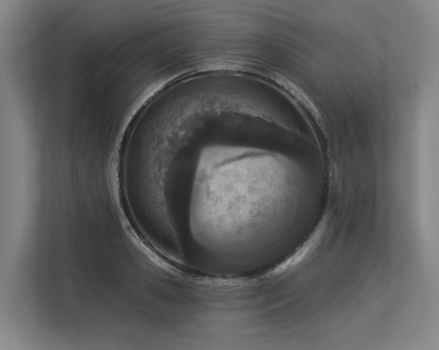 X0000113630941200909181514