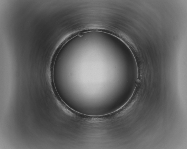 X0000113630942200909181514