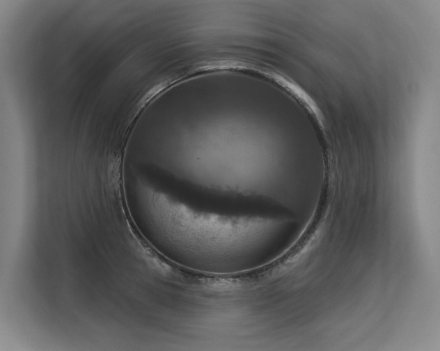 X0000113630945200909181514