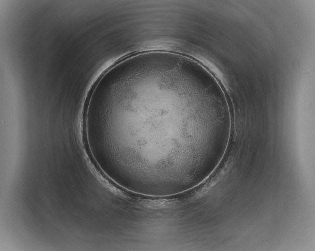 X0000113630949200909181514