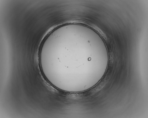X0000113630950200909181514