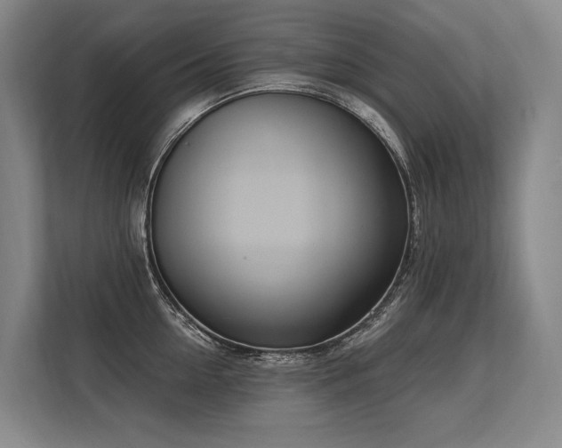X0000113630954200909181514
