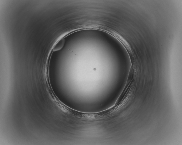 X0000113630956200909181514