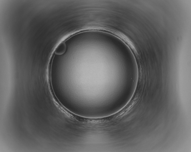 X0000113630958200909181514